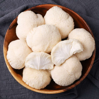 Lion's Mane mushroom extract